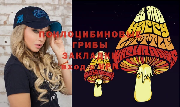 прущая мука Балахна