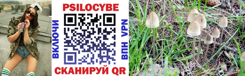 Псилоцибиновые грибы Magic Shrooms Купить где Валдай